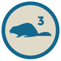 Beaver 3